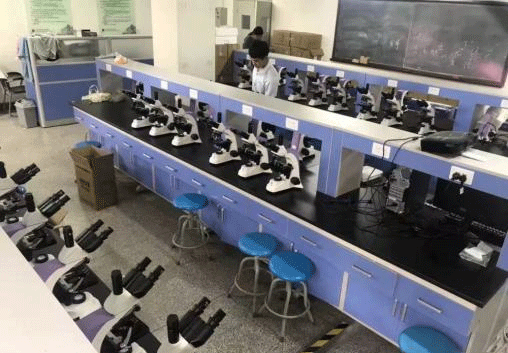 天津城建大学购买草莓视频色版APP在线观看光电一批三目金相草莓视频污在线下载