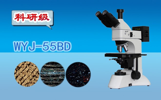 三目暗场金相草莓视频污在线下载WYJ-55BD