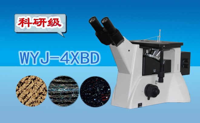 科研级暗场金相草莓视频污在线下载WYJ-4XBD