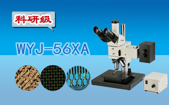 三目金相草莓视频污在线下载WYJ-56XA