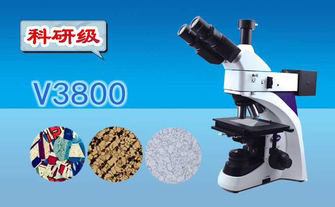 三目金相草莓视频污在线下载V3800