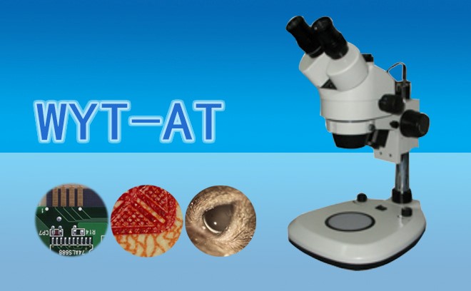 1663823072196259.jpg 体视草莓视频污在线下载1.jpg