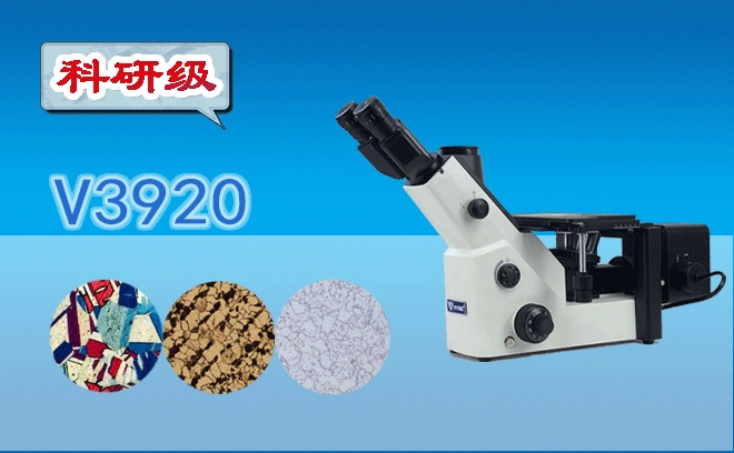 三目倒置金相草莓视频污在线下载V3920