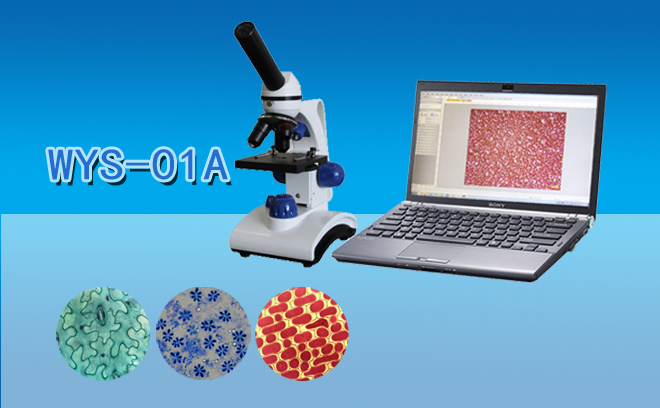 1668586421190988.jpg 学生草莓视频污在线下载.jpg