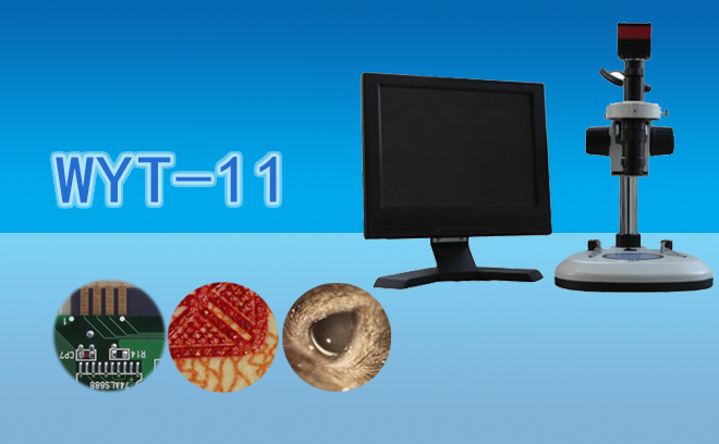 1697164706159414.jpg 1697164706159414.jpg